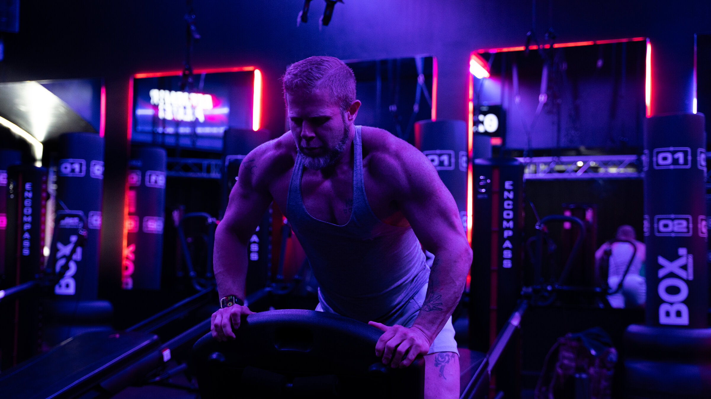 Pegasus Gym asset 14
